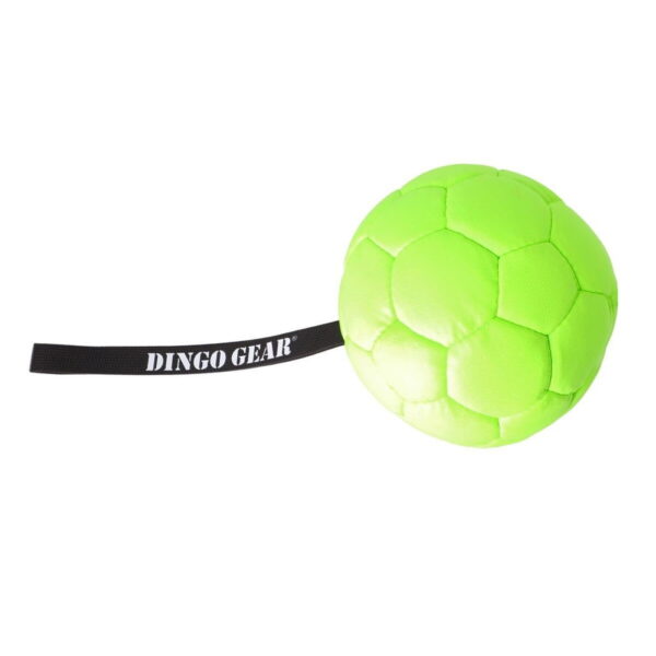 Dingo Gear Eco Hundeball med Håndtak 18 cm (Grønn)