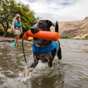 RuffWear Lunker Flytende Dummy (Orange)