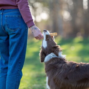 Effe Chews Tyggbein med Ost og Dill (S)