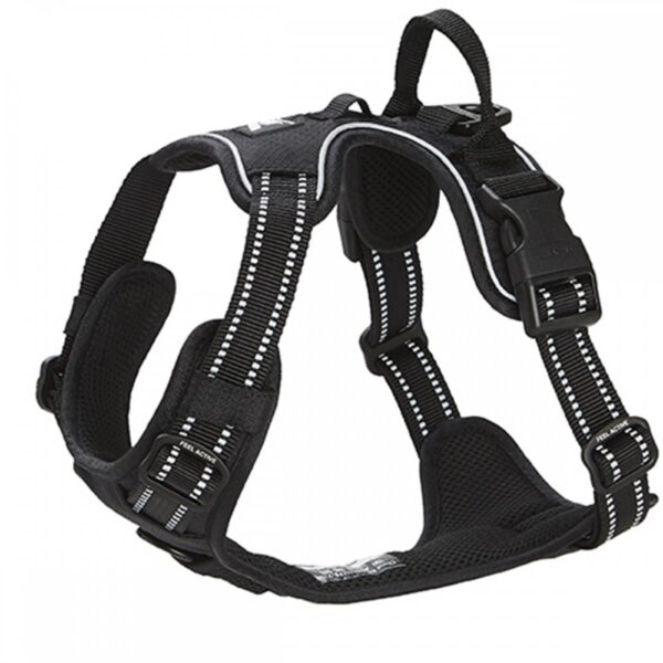 Feel Active Training Hundesele Svart (XL)