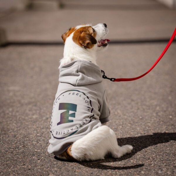 Feel Active Bromma Hettegenser til Hund Grå (45)