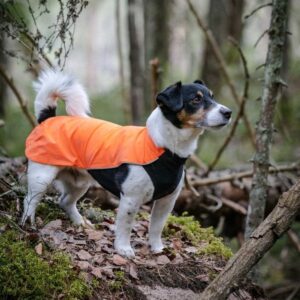 Feel Active Drammen Hundegenser Oransje (65 cm)