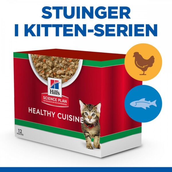 Hill&apos;s Science Plan Kitten Healthy Cuisine Chicken/Ocean Fish & Vegetables 12x80 g