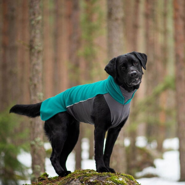 Pomppa Jumppa Hundedekken Blågrønn (60)