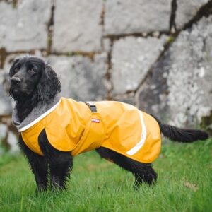 Pomppa Kevyt Regndekken Hund Gul (37 cm)