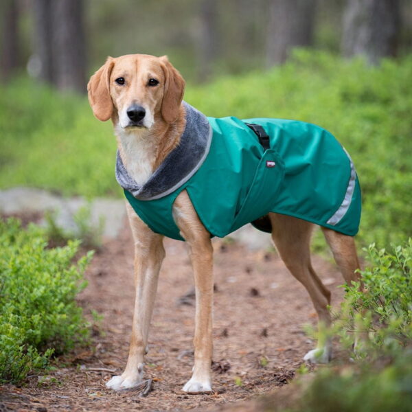 Pomppa Kevyt Hundedekken for Sele  blå/ grønn (65)