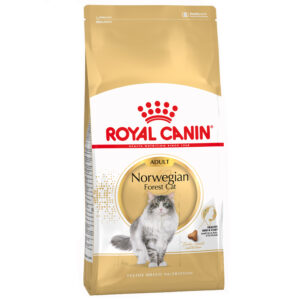 Royal Canin Norwegian Forest Cat Adult - 10 kg