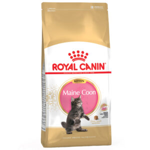 Royal Canin Maine Coon Kitten - 10 kg