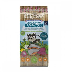 Little BigPaw Salmon 1