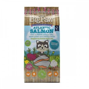 Little BigPaw Salmon Senior 1