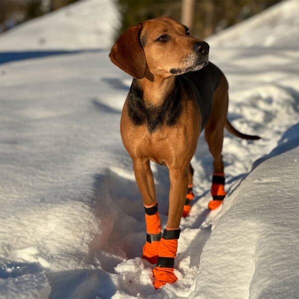 Non-Stop Dogwear Contact Bootie Høy Hundesko 4 st (M)