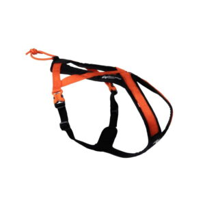 Non-Stop Dogwear Rush Hundsele Orange (1)