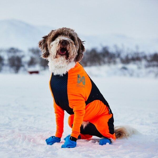 Non-stop Dogwear Protector Snow Hundeoverall Svart & Oransje (XXS)