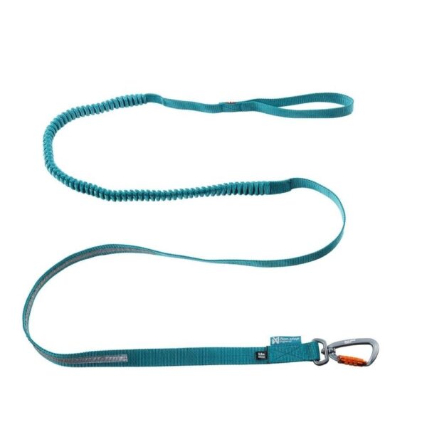 Non-stop Dogwear Touring Bungee Leash Expanderkoppel Turkos (3.8m/23mm)