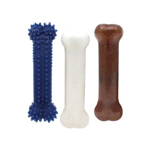 Nylabone Puppy Startpaket