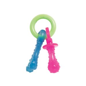 Nylabone Puppy Teething Pacifier