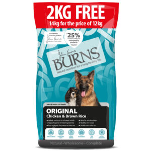 2 kg gratis! 14 kg Burns tørrfôr - Adult & Senior Original kylling og brun ris