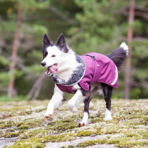 Pomppa Perus Vinterdekken Hund Lilla (80 cm)