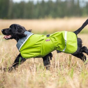 Pomppa Sade Regndekken Hund Grøn (31 cm)