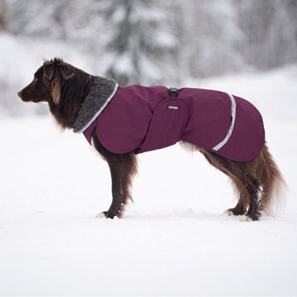 Pomppa Toppa Vinterdekken Hund Lilla (70 cm)