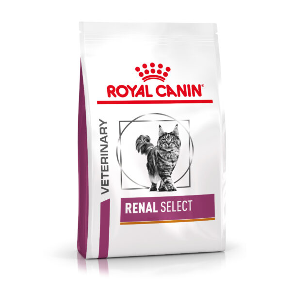 Royal Canin Veterinary Feline Renal Select - 4 kg