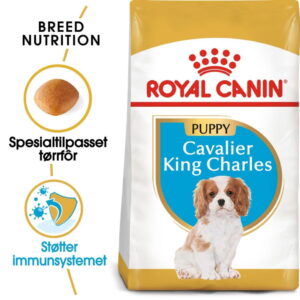 Royal Canin Cavalier King Charles Puppy (1