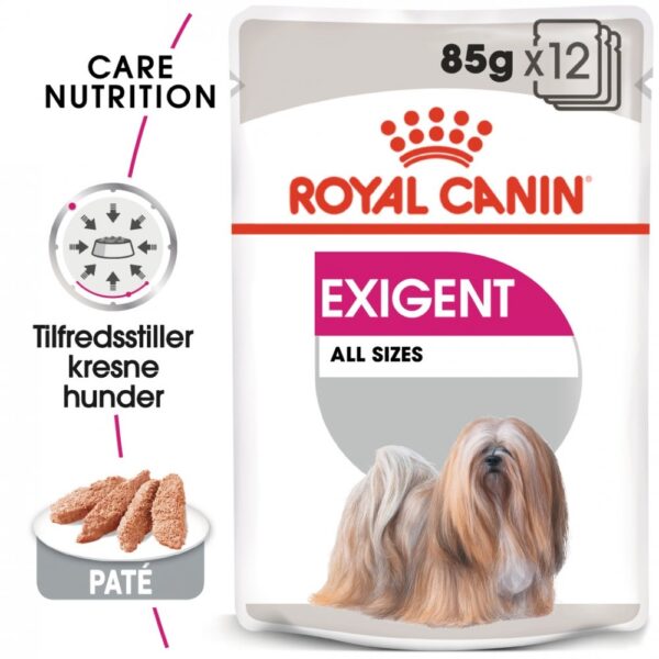 Royal Canin Dog Adult All Sizes Exigent 12x85 g