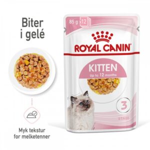 Royal Canin Kitten Jelly 12x85 g