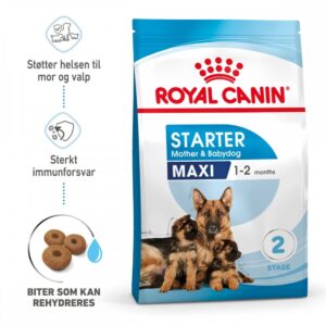 Royal Canin Maxi Starter (15 kg)