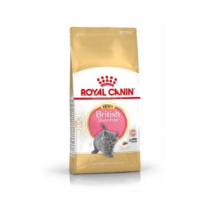 Royal Canin British Shorthair Kitten (2 kg)