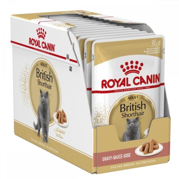 Royal Canin British Shorthair Wet 12x85 g