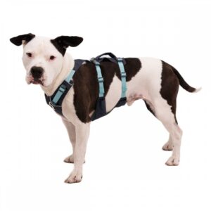 Ruffwear Flagline Hundesele Grå/Turkis (XS)