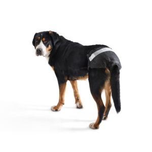 Savic Comfort Nappy Hundebleie (7)