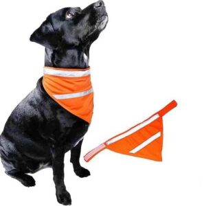 Oransj refleks bandana / skjerf for hund