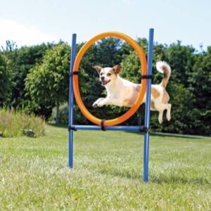 Agility Hoppering