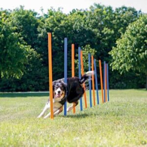 Agility Slalompinner