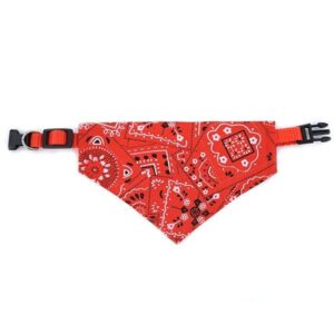 Rødt fleksibelt halsbånd med mønstret bandana